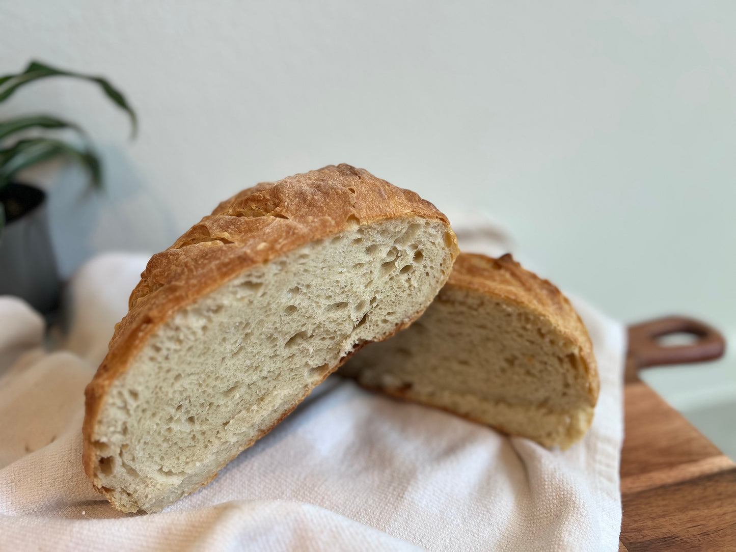 Classic Artisan Loaf